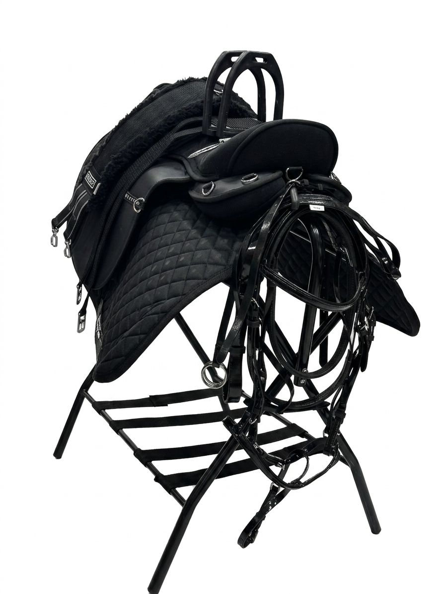 STATUS SADDLE OFFER SET