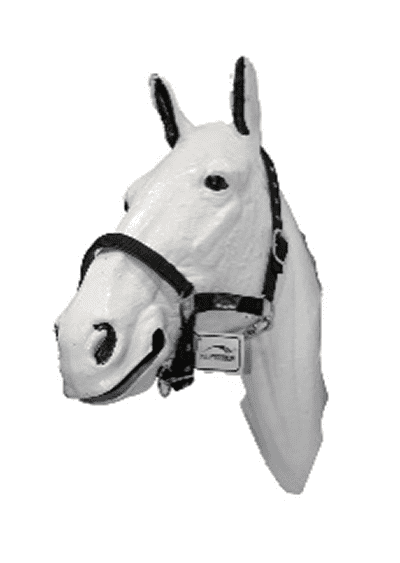 BEUCEPHAL NYLON PADDED HEADCOLLAR