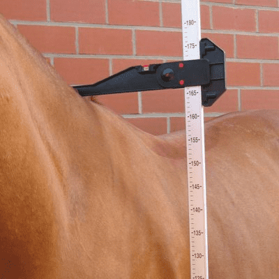 HORSE MEASURING SCALE